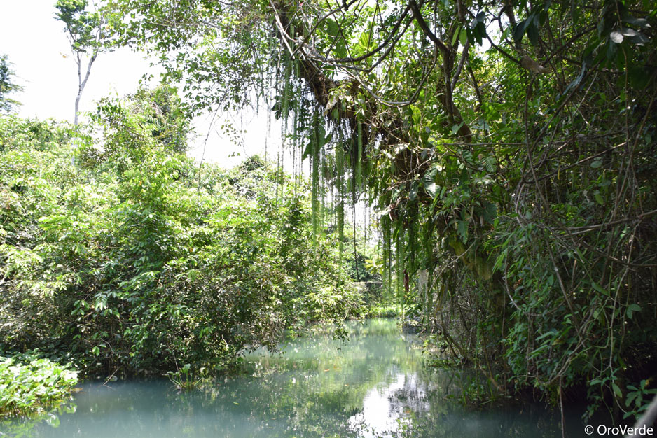 Bocas del Polochic Fluss